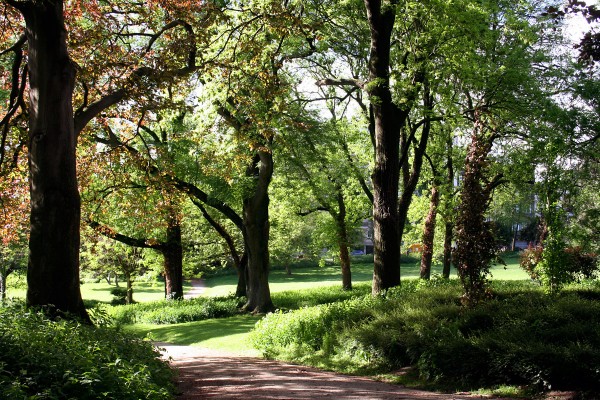 ve may bay di brussels gia re