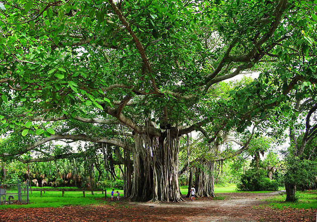[Image: ve-may-bay-di-fort-lauderdale-2.jpg]