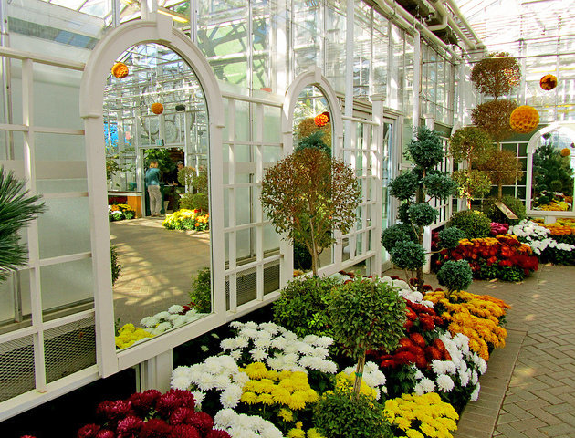 [Image: ve-may-bay-di-grand-rapids.jpg]