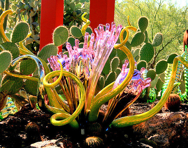 [Image: ve-may-bay-di-phoenix-2.jpg]