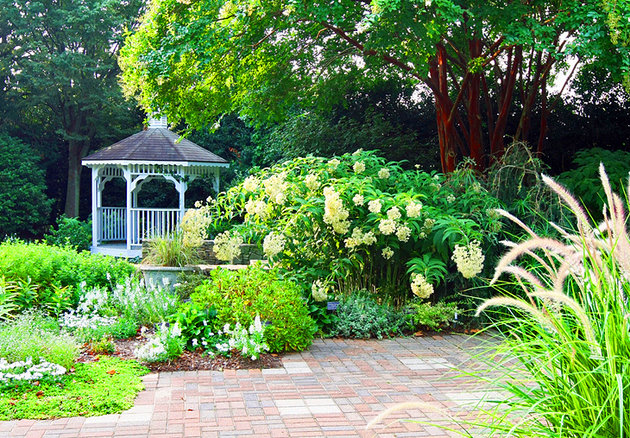 [Image: ve-may-bay-di-raleigh-3.jpg]