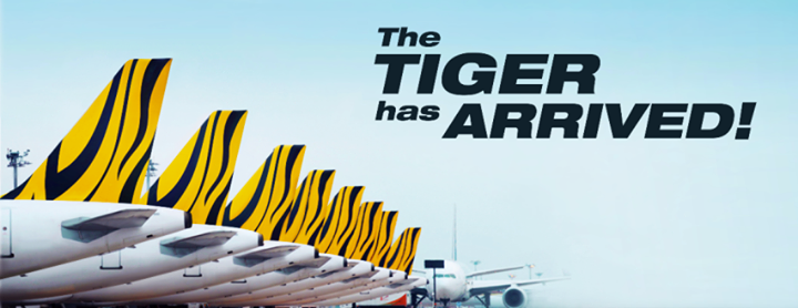ve may bay tiger airways 