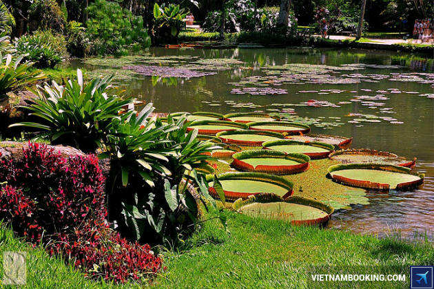 ve may bay di rio de janeiro gia tot