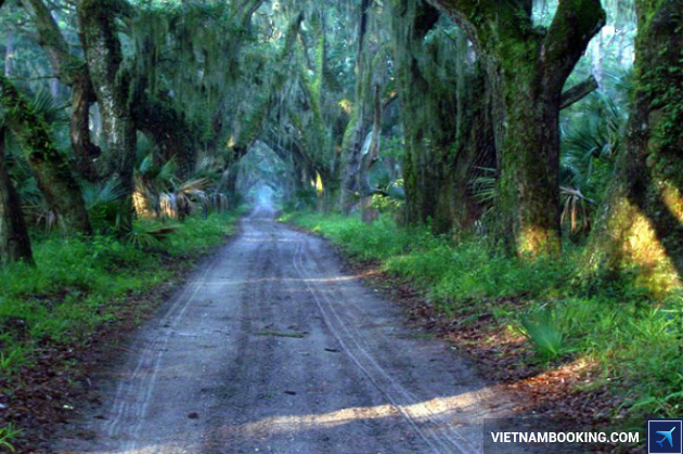 Ossabaw Island dat ve may bay gia tot Savannah