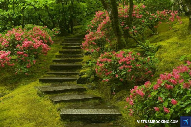 book ve may bay truc tuyen di albany