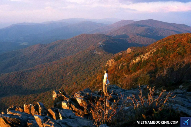 ve may bay di charlottesville gia re 