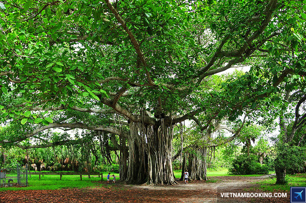 Hugh Taylor Birch State Park ve may bay di fort lauderdale gia re