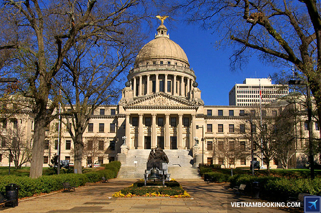 ve may bay di jackson