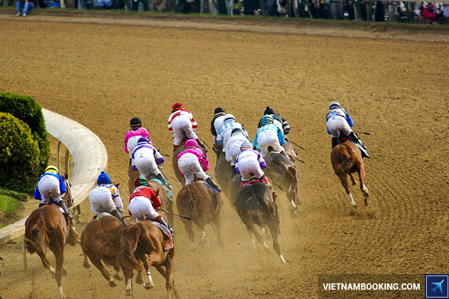 ve may bay di louisville