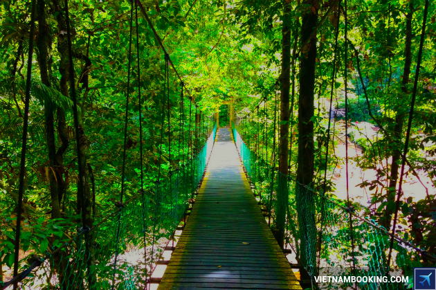 ve may bay di miri gia re 