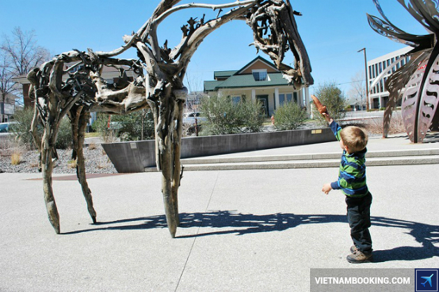 ve may bay gia re di reno