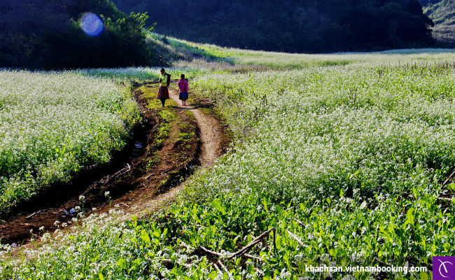 du lich noi dia thang 11