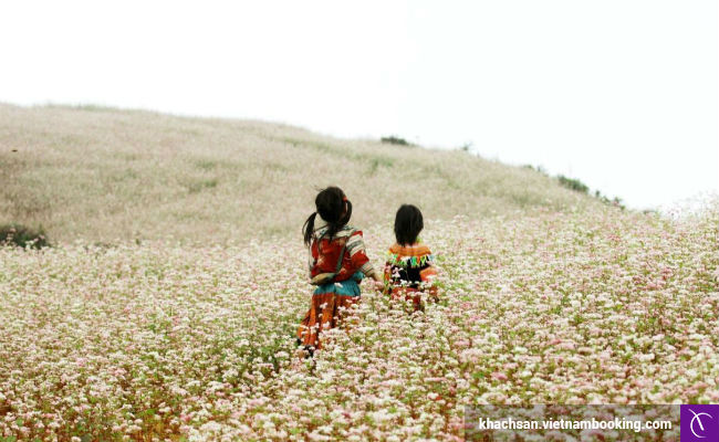 du lich noi dia thang 11 gia re