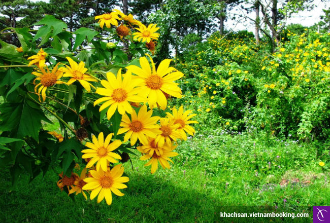 dat tour du lich noi dia thang 11