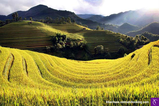 dat tour gia re du lich noi dia thang 11