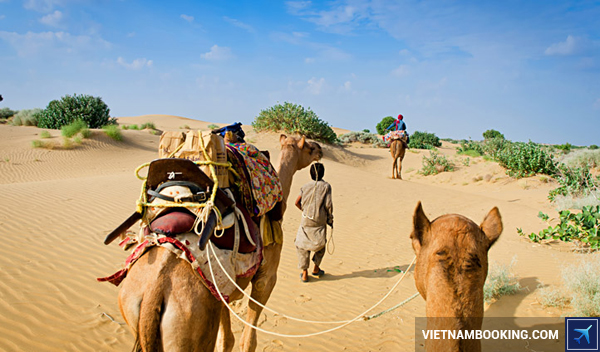 ve-may-bay-di-an-do-hang-tiger-air-6-20-11-2015