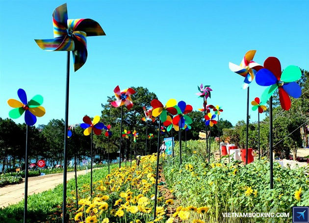 ve may bay di da lat gia re