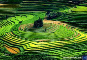 Khám phá những điểm du lịch độc và lạ ở Nhật Bản