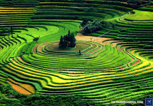 ve-may-bay-di-nhat-ban-30-10-2015-2