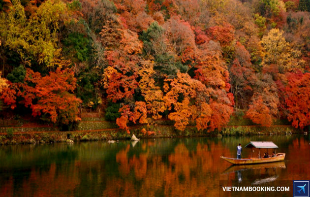 ve-may-bay-di-nhat-ban-30-10-2015-3