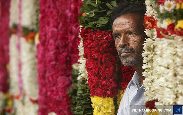 ve may bay di an do gia re