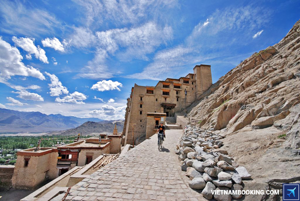 ve-may-bay-tphcm-di-an-do-tigera-air-3-21-11-2015