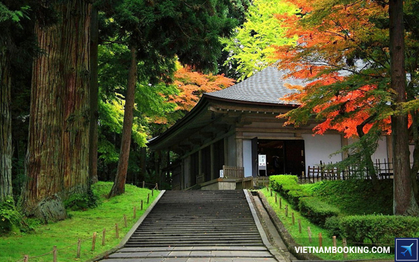 ve-may-bay-tphcm-di-nhat-ban-tiger-air-2-19-11-2015