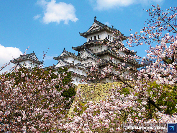 ve-may-bay-tphcm-di-nhat-ban-tiger-air-5-19-11-2015