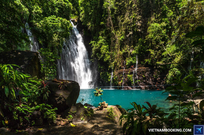 ve may bay di philippines gia re