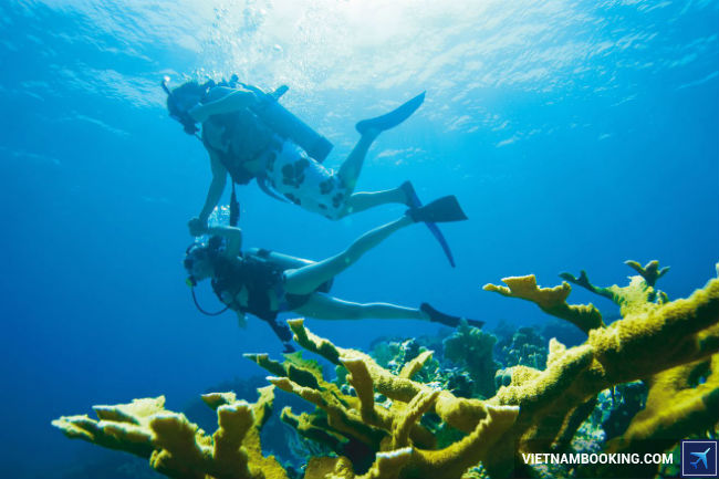 ve may bay di philippines gia uu dai