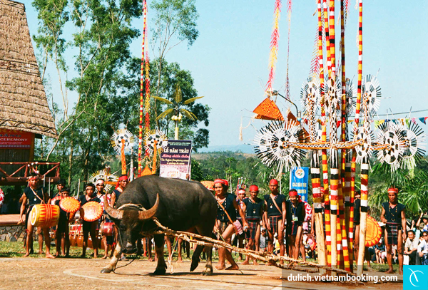 8-trai-nghiem-tuyet-voi-cho-chuyen-du-lich-tay-nguyen-gia-re-3-17-12-2015