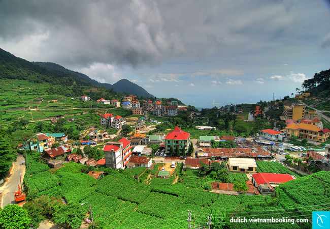 Tam Đảo cam-nang-du-lich-ha-noi-18-12-2015- 1