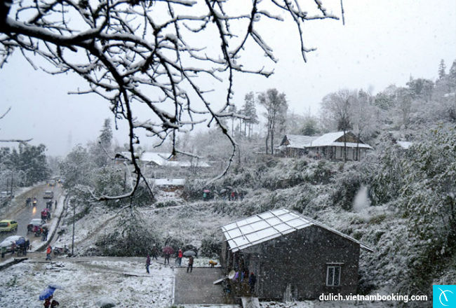 cam nang du lich ngam tuyet