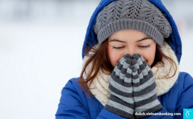 tour du lich ngam tuyet