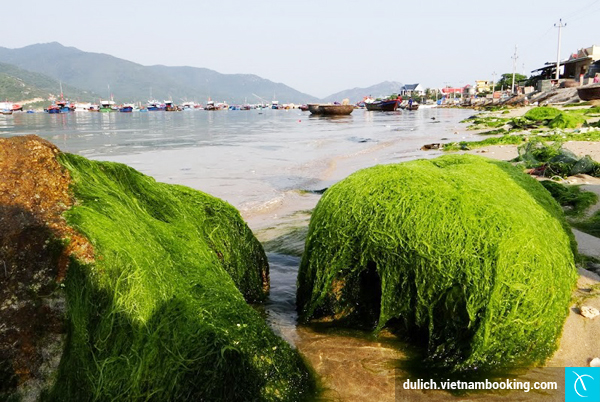 Cam Ranh – Điểm du lịch biển đảo lý tưởng cho kỳ nghỉ lễ cam-ranh-diem-du-lich-bien-dao-ly-tuong-cho-ky-nghi-le-7-16-12-2015