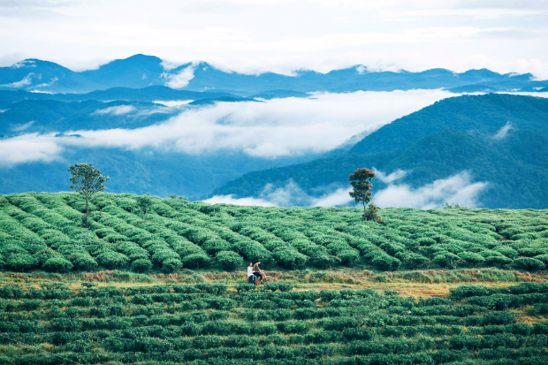 Đà Lạt mùa đông