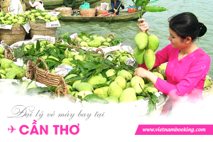 Đại lý vé máy bay tại Cần Thơ