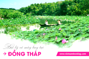 Đại lý vé máy bay tại Đồng Tháp