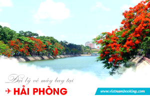 Đại lý vé máy bay tại Hải Phòng