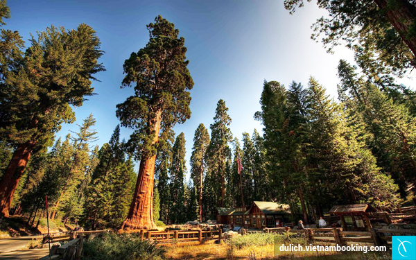 den-my-kham-pha-9-diem-du-lich-hang-dau-o-california-9-28-12-2015