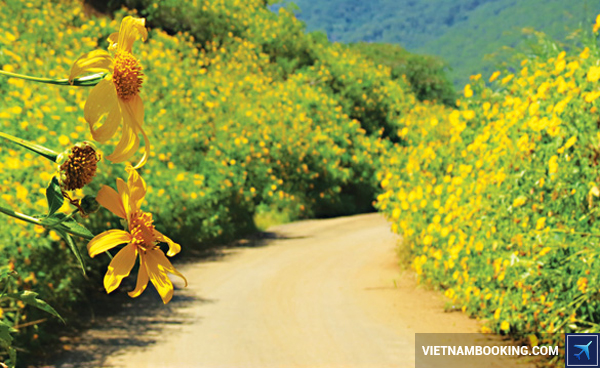 Du lịch Đà Lạt tháng 12 có gì hấp dẫn? du-lich-da-lat-thang-12-co-gi-hap-dan-2-05-12-2015