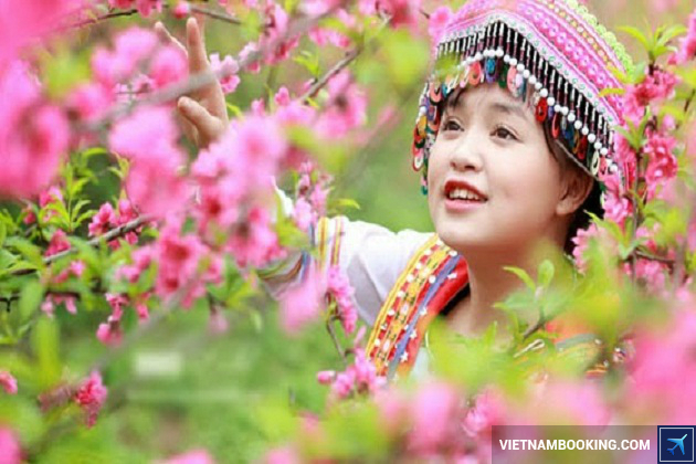 Du lịch Mộc Châu