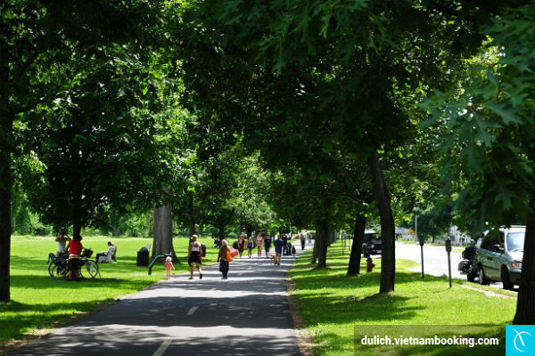 Môi trường xanh của Singapore du-lich-singapore-31-12-2015- 3