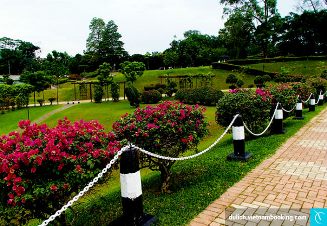 Công viên MacRitchie Reservoir du-lich-singapore-31-12-2015- 4