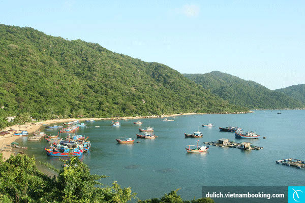 du-lich-viet-nam-ban-dao-30-12-2015-3