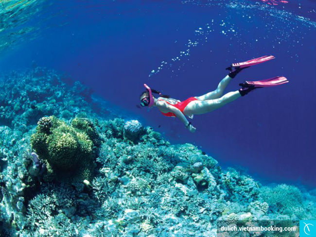 Các sản phẩm du lịch biển phổ biến hiện nay du lich bien gia phai chang