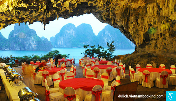 du lich mice gia mem