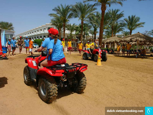 du lich teambuilding gia re