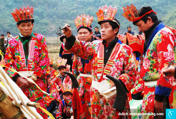 mau-son-nang-cong-chua-ngu-trong-rung-cua-vung-cao-dong-bac-4-25-12-2015