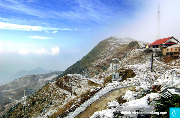 mau-son-nang-cong-chua-ngu-trong-rung-cua-vung-cao-dong-bac-5-25-12-2015